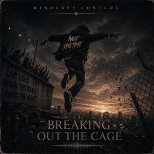 Breaking out the Cage
