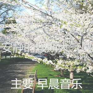 抚慰的正在学习回忆