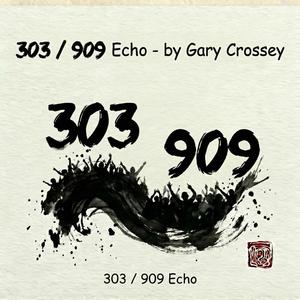 303 / 909 Echo