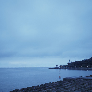 心慌（COVER 邓见超）