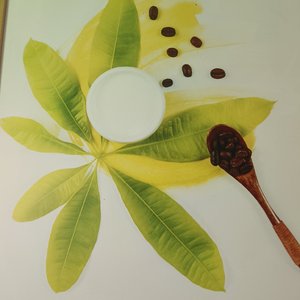 美丽的草原我的家