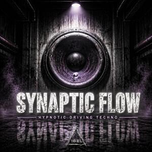 Synaptic Flow