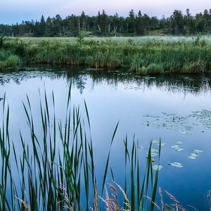 离谱的下水道转场