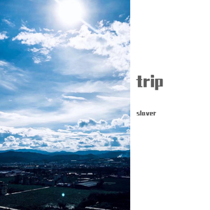 trip