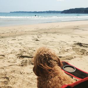 寂しがり〜色々な気持ち〜