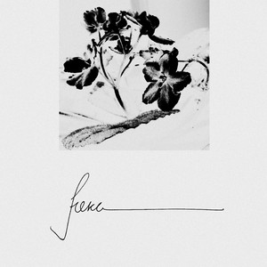 Междуречье