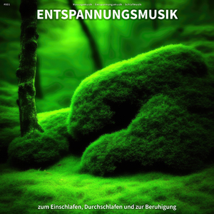 Achtsamkeitsübungen in der Natur