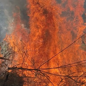 你是我心里最轻的风