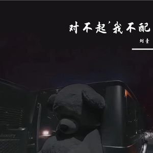 对不起 我不配