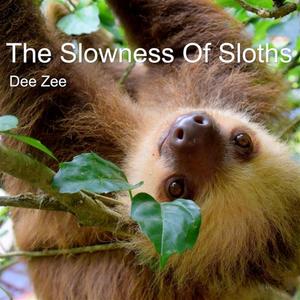 The Slowness Of Sloths