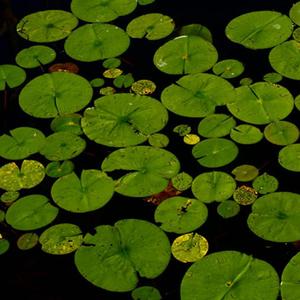 冥想音乐 水碧山青