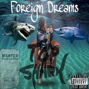 Foreign Dreams (Official Audio)