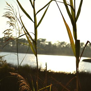 Remember The Feeling