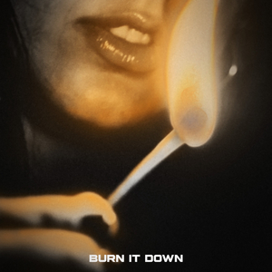 BURN IT DOWN