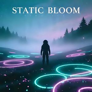 Static Bloom