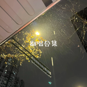 送你一朵小红花【翻自赵英俊】（翻自 赵英俊）