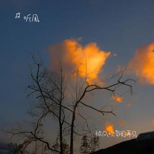 被风吹散的再见