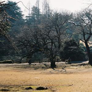 i don't fit in anywhere