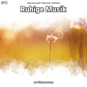 Ruhige Musik, Pt. 41