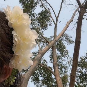 去有风的地方（cover）