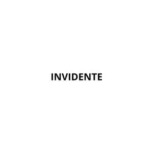 INVIDENTE (2025 Remastered Version)