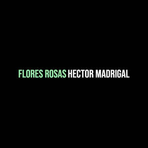 Flores Rosas