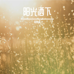 阳光洒下