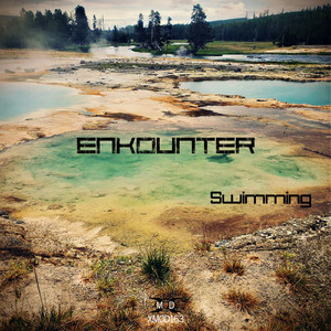 Swimming (Original Mix)