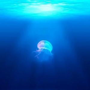 【free】Killer's Life