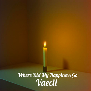 Where Did My Happiness Go