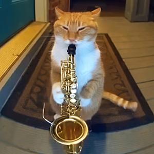 I'm Saxing It (Feeling Great!)