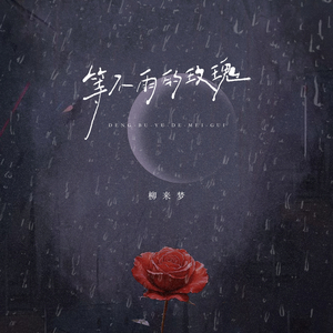 等不到雨的玫瑰