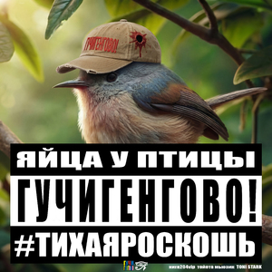 ЯЙЦА У ПТИЦЫ #тихаяроскошь