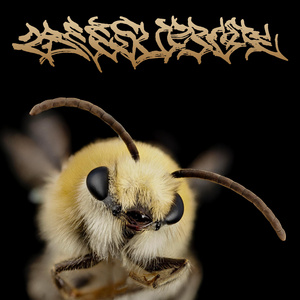 Ange déchu (Slowed)