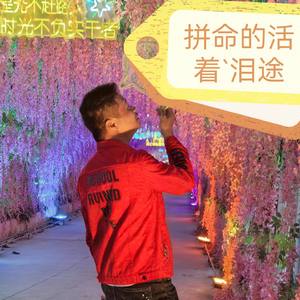 拼命的活着`泪途