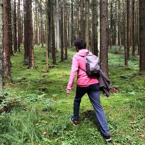 ZTK (Zorunlu Tercihler Kumpanyası) (demo)