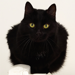 Embraced Imperfections I