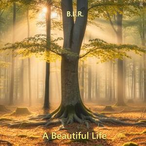 A Beautiful Life