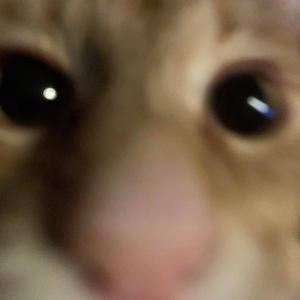 whistle (Jersey Club)