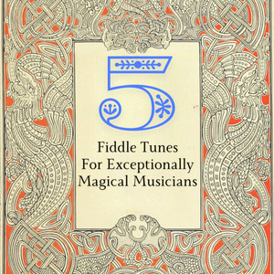 Elder Wood Wand