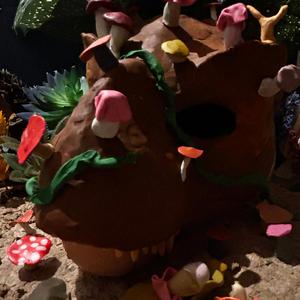 Ceratopsia