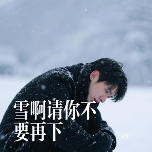 雪啊请你不要再下