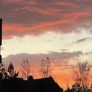 乐天派（prod：金桔）