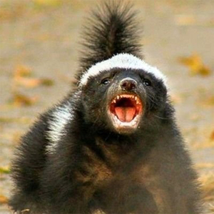 Body Bag 'Em (feat. ST ABEL, Bustdxwn223, 64BLOCK, 안현성, 권용인)