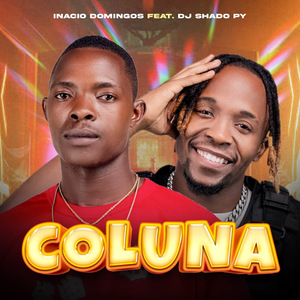 Coluna
