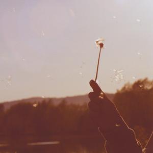 nostalgie (feat. smurve)