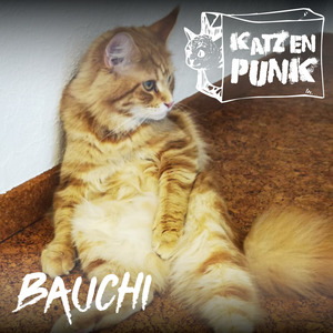 Bauchiii (Demo)