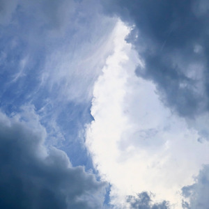 野に咲く花のように