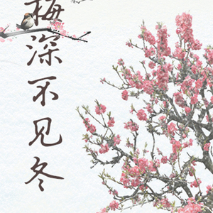 梅深不见冬（Cover 银临）