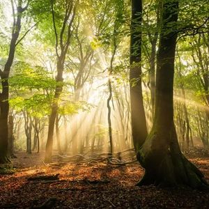 为什么要来骗我